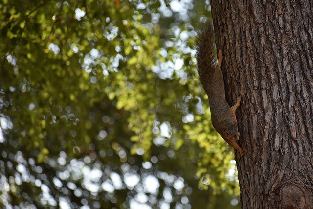 扣押人员 扣押人员