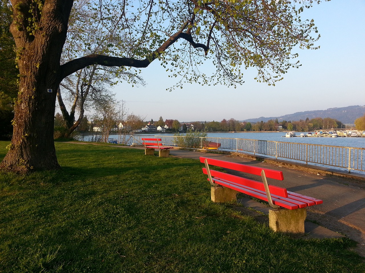 投入的雄心 投入的雄心