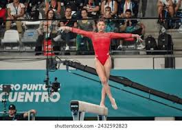 本文将深入 本文将深入