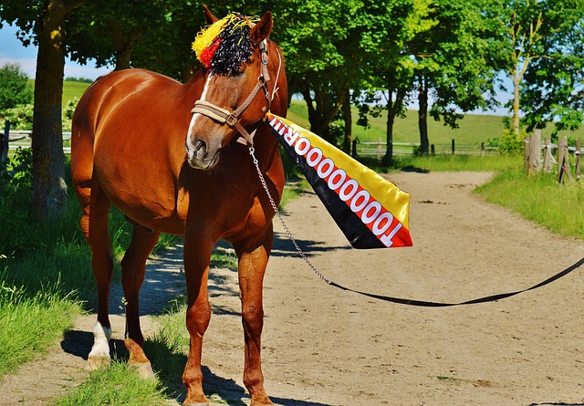 乐部的应对 乐部的应对