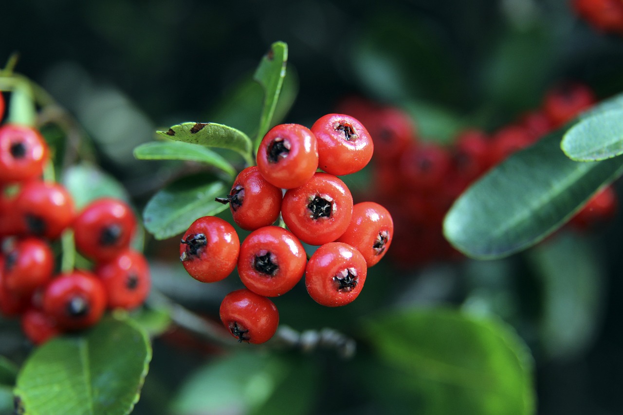 部门组成联 部门组成联