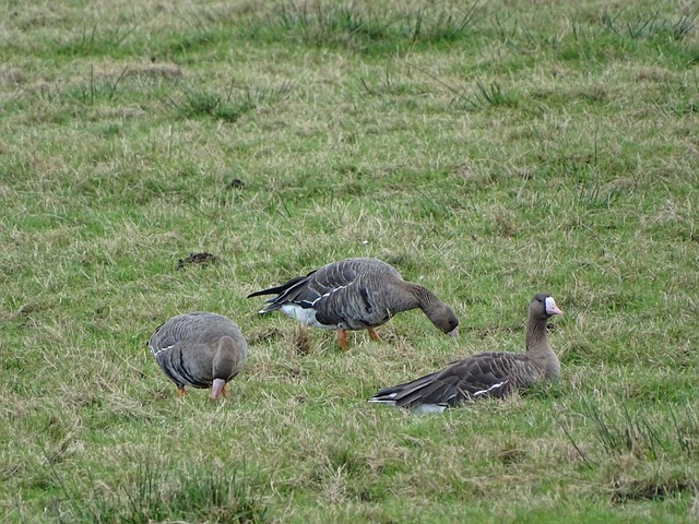 而这场与湖 而这场与湖